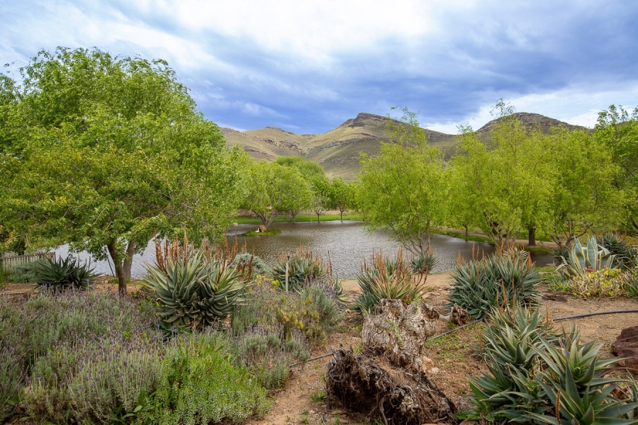 Commercial Property for Sale in Montagu Rural Western Cape